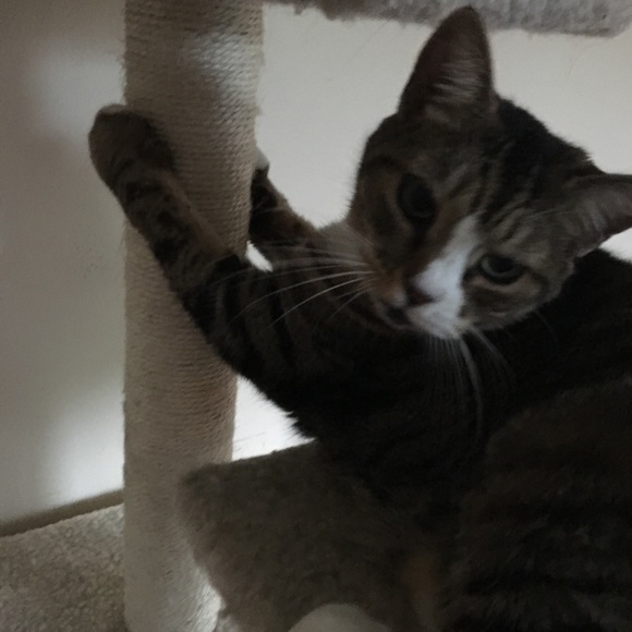 Meet your Posher, Lepetit - Picture 9 of 14